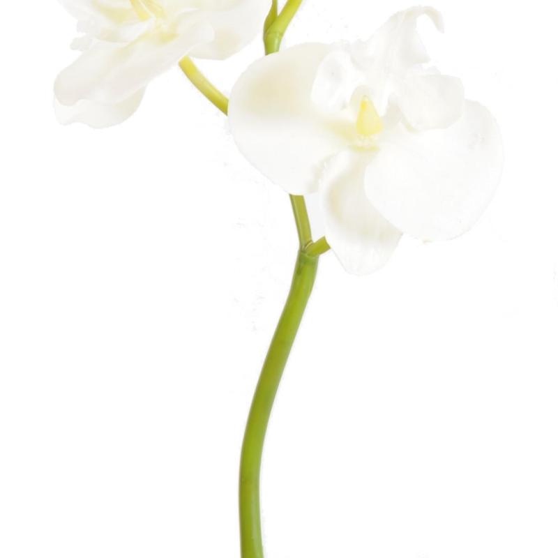Phalaenopsis Artificielle Mini Orchid