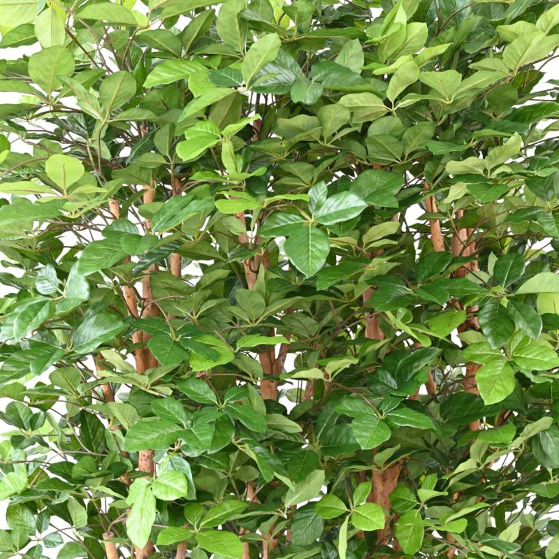 Hetre Artificiel Grandifolia Haie 145