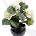 Hortensia Artificielle Plant 5T