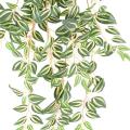Tradescantia Artificiel 70
