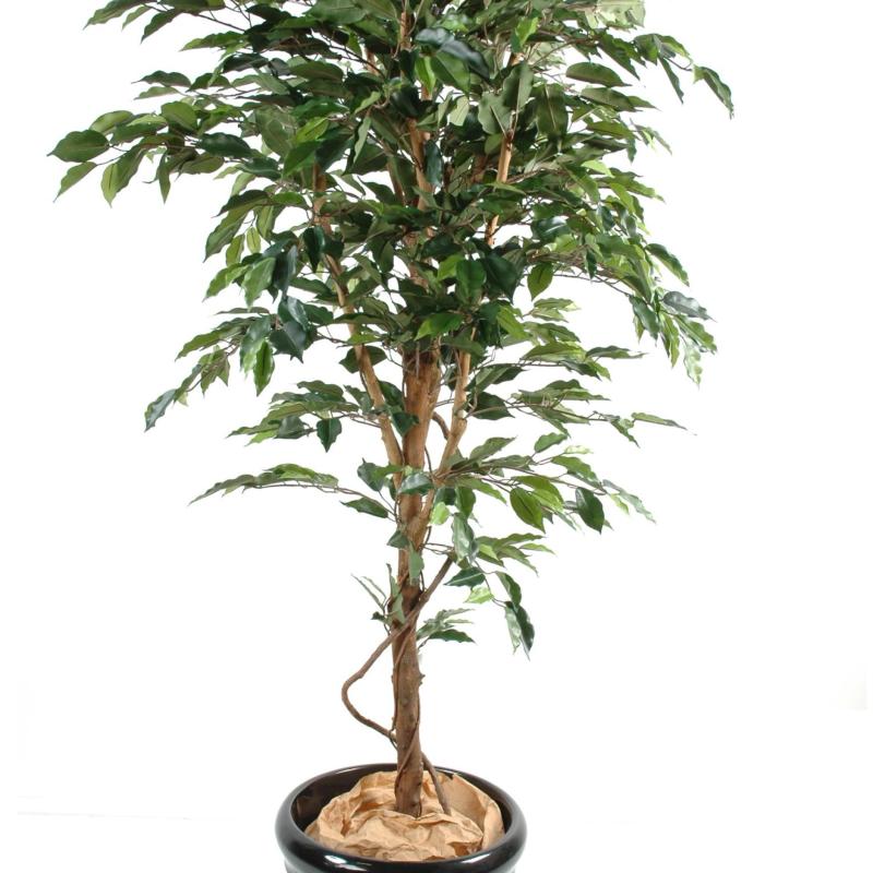 Ficus Artificiel Tronc Simple GF