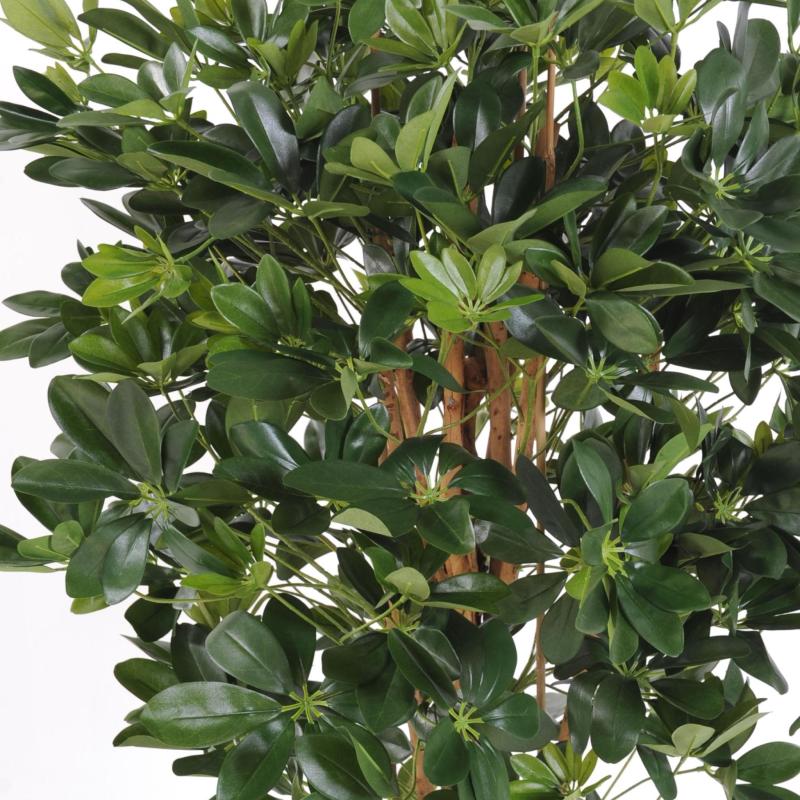Schefflera Artificiel