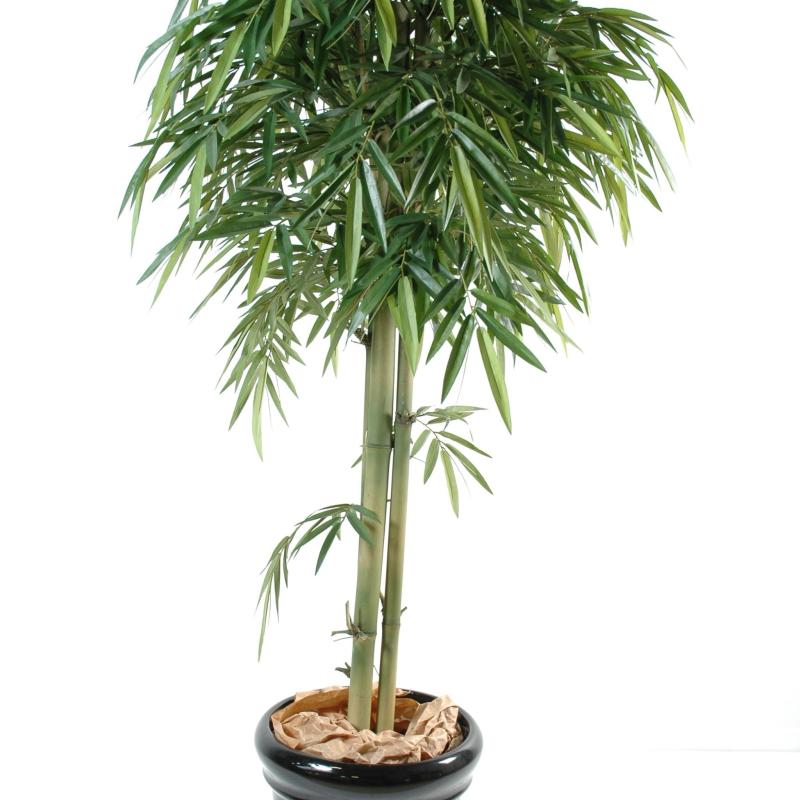Bambou Artificiel NEW Tete 3tr
