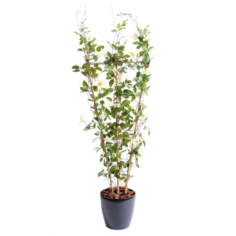 Clematite Artificielle Palissade