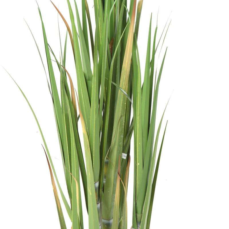 Canne à Sucre Artificielle