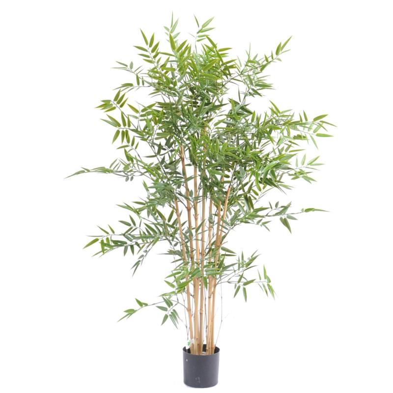 Bambou Japanese PLAST UV