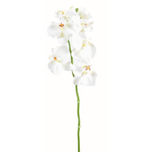 Phalaenopsis Artificielle Tige Medium*6