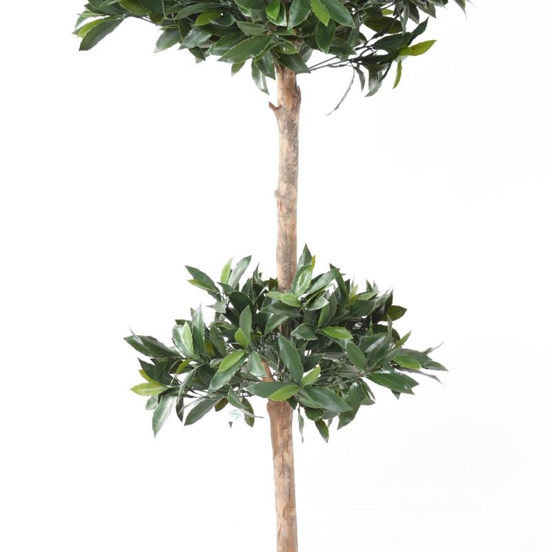Laurier Nobilis Artificiel Tige Double Boule UV