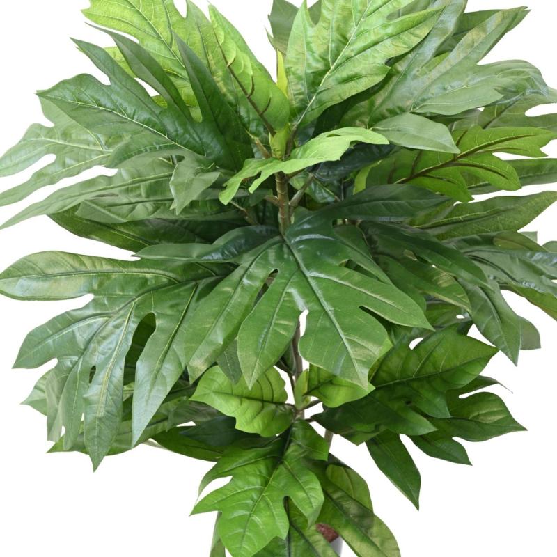 Artocarpus Artificiel Altilis (arbre à Pain)