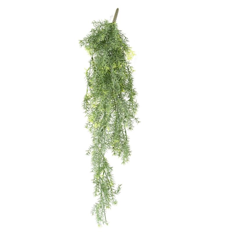 Asparagus Artificiel Chute