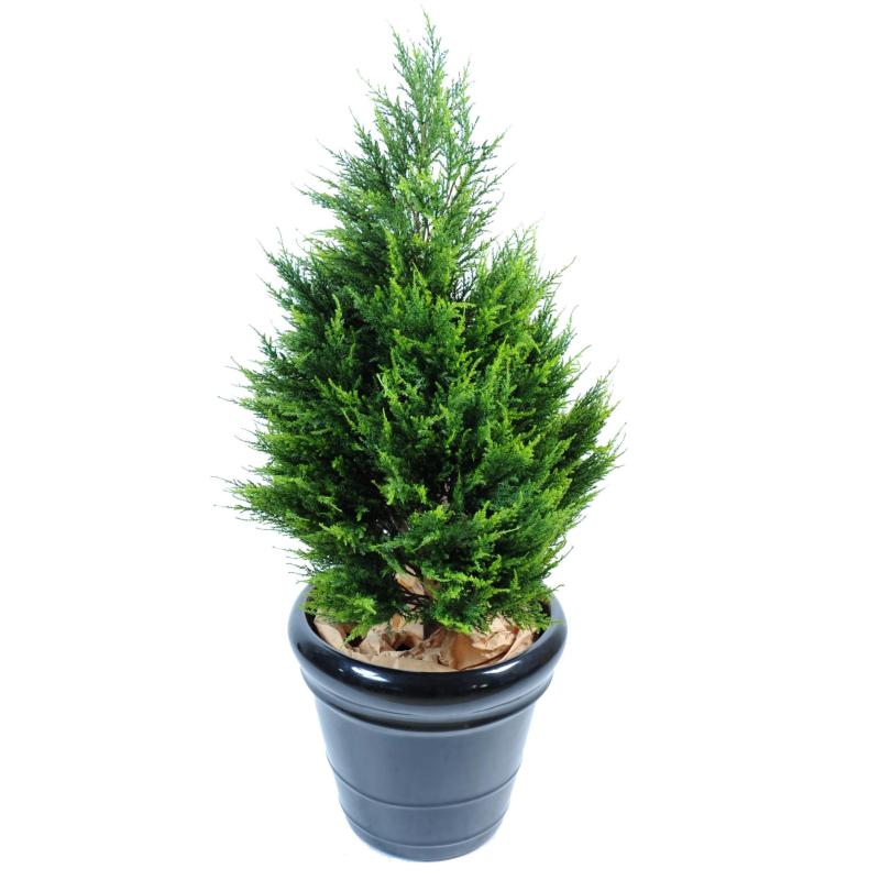 Cypres Artificiel Juniperus