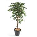 Ficus Artificiel Tronc Simple GF