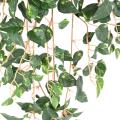Pothos Artificiel Mini 70