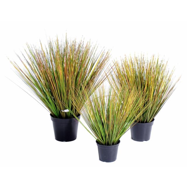 Onion Artificiel Grass Round GF