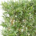 Bambou Artificiel Oriental Haie Dense