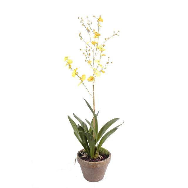 Orchidee Artificielle Dancing Lady Pot Terre