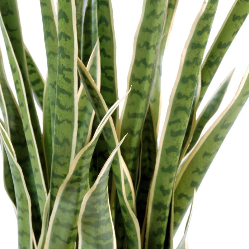 Sansevieria Artificiel