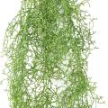 Tillandsia Artificiel Chute