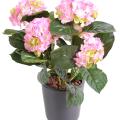 Hortensia Artificielle 3*2