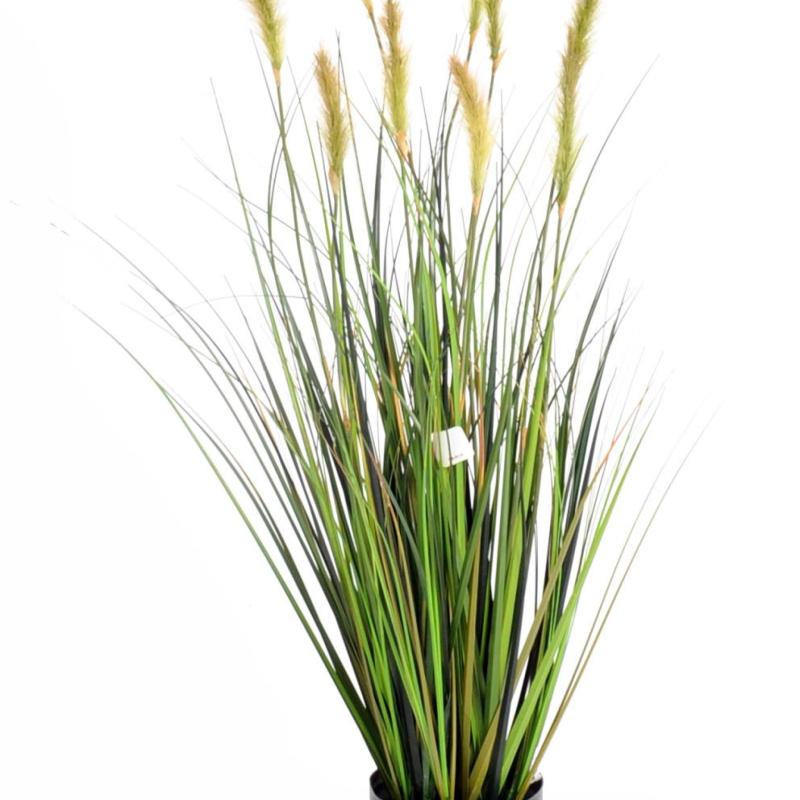 Foxtail Artificiel GF