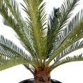 Cycas Artificiel Geant *15