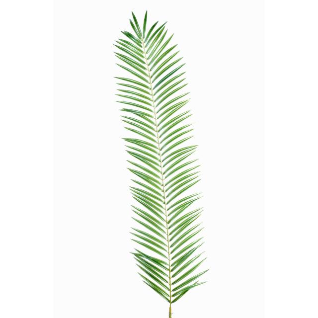 Phoenix Artificiel Palm SPRAY GM 110