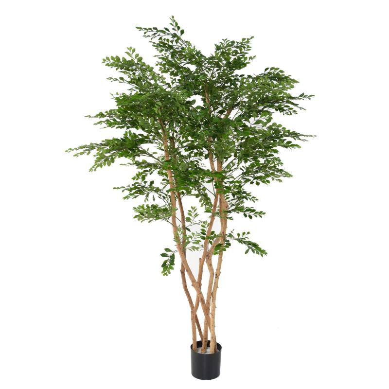 Acacia Artificiel