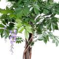 Glycine Artificielle Multi TREE