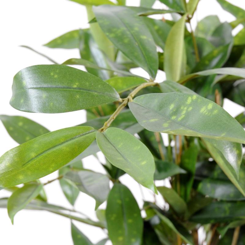 Dracaena Artificiel Surculosa Pot