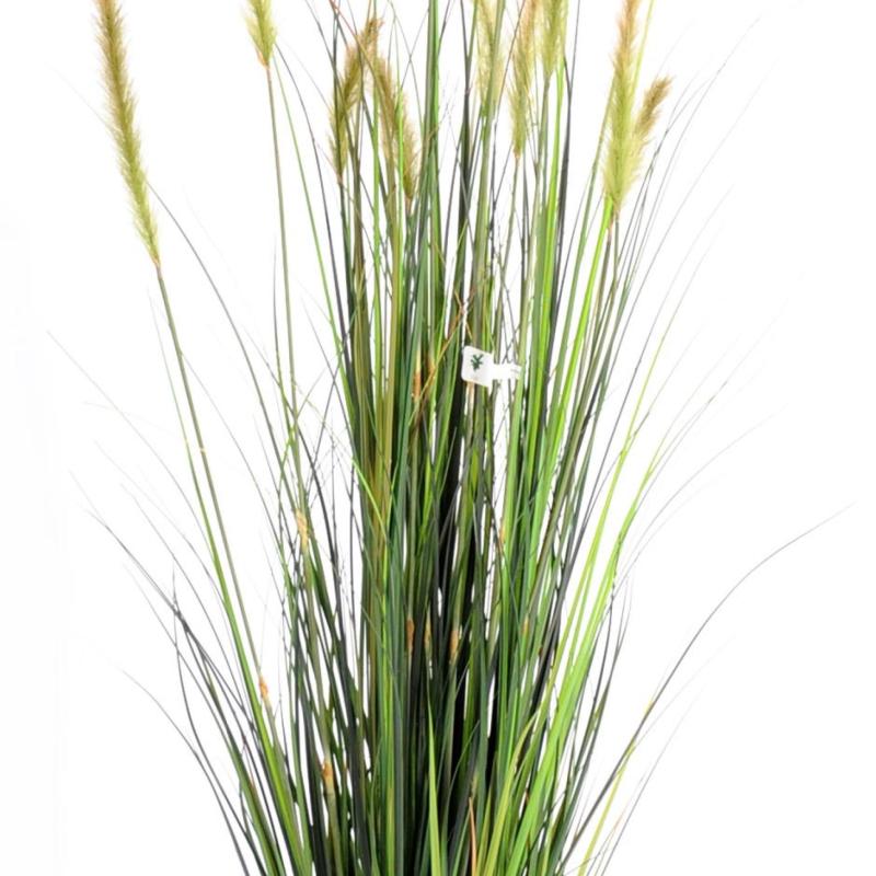 Foxtail Artificiel GF