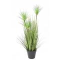 Chrysopogon Artificiel Grass