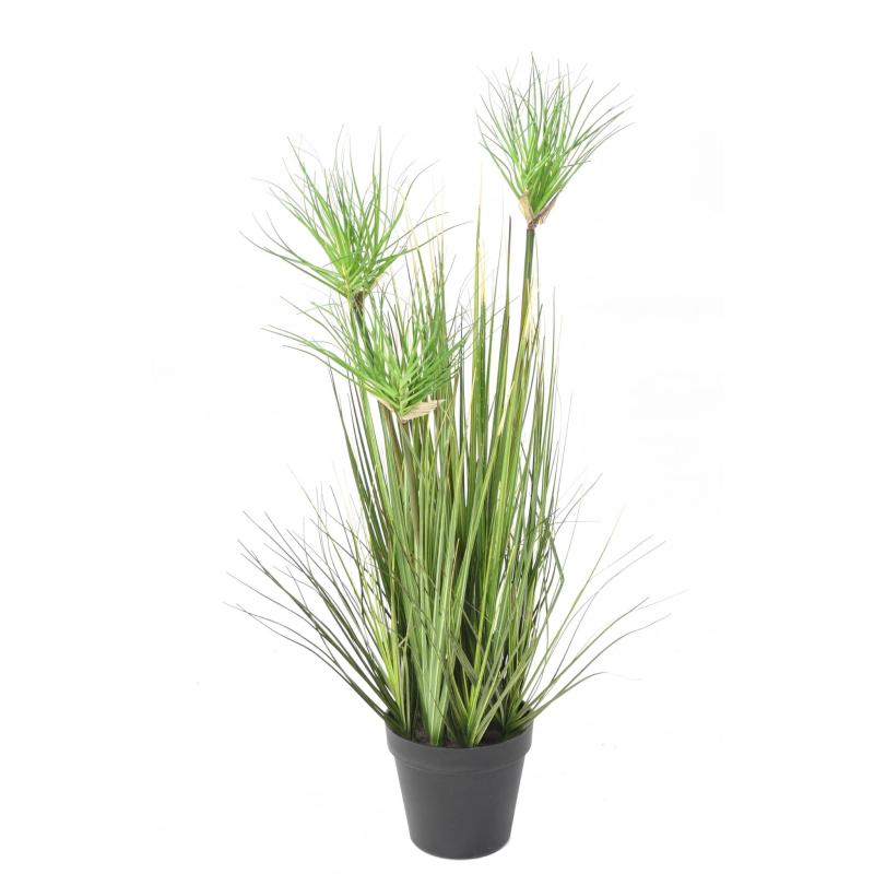 Chrysopogon Artificiel Grass