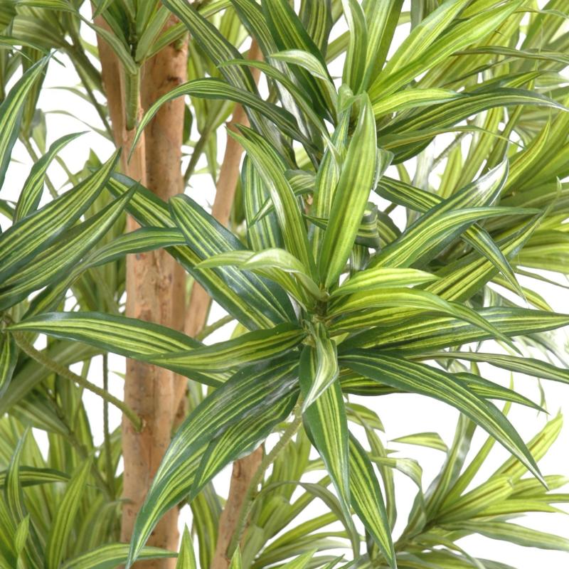 Dracaena Artificiel Reflexa