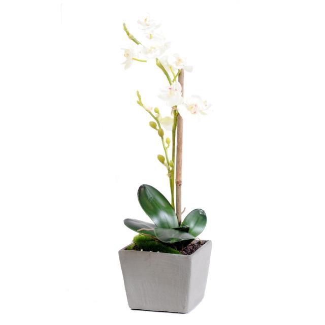 Phalaenopsis Artificielle Pot