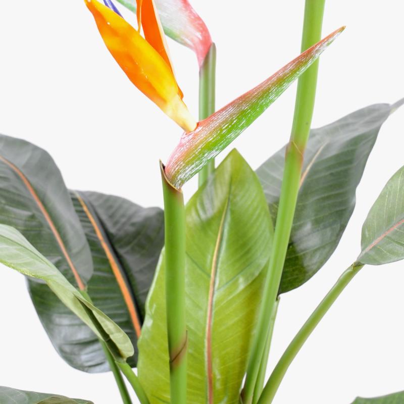 Strelitzia Artificiel 3fl Larges