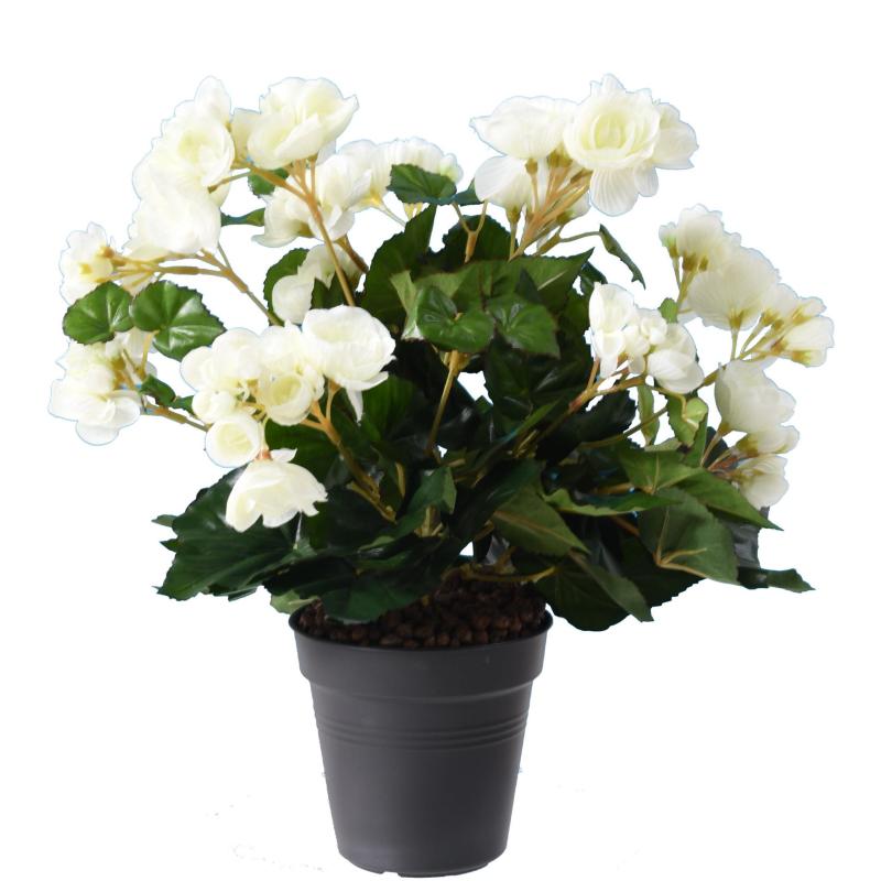 Begonia Artificiel*94